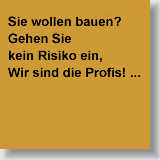Wir sind die Profis